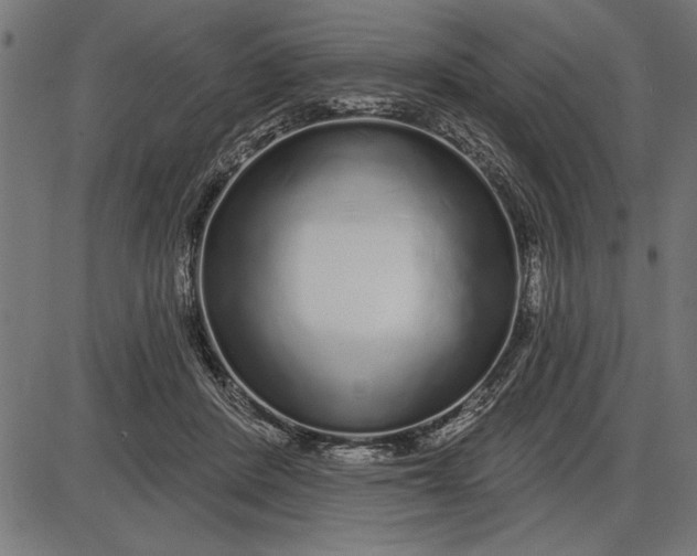 X0000086100408200704091357