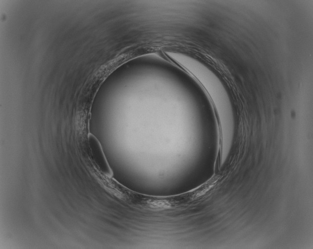X0000086100409200704091357