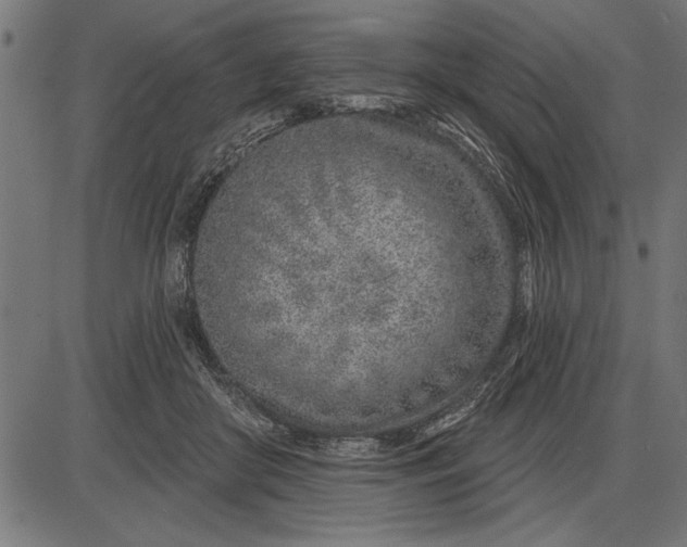 X0000086100410200704091357