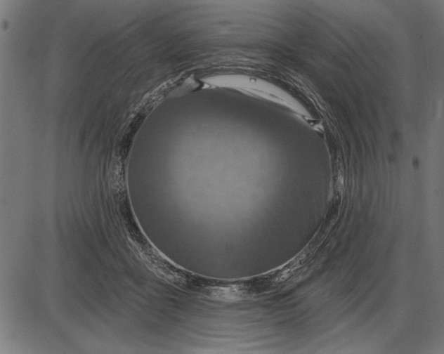 X0000086100411200704091357