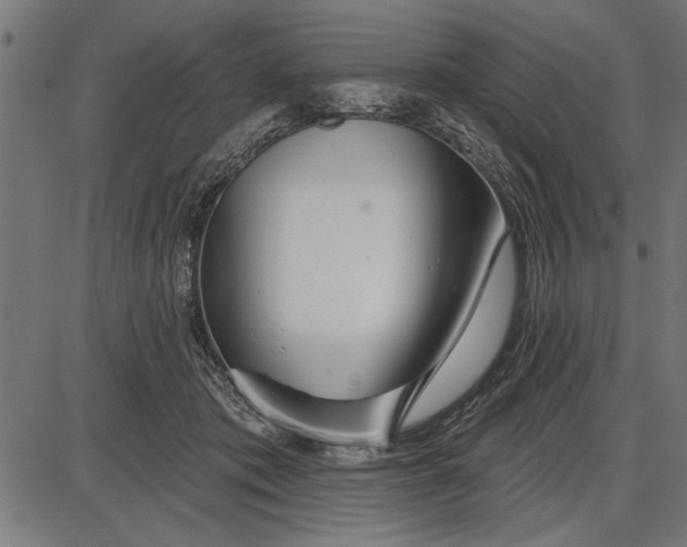 X0000086100413200704091357