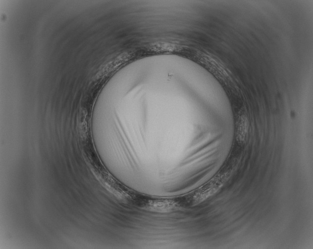 X0000086100414200704091357