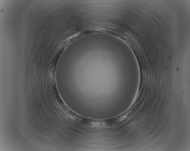 X0000086100415200704091357