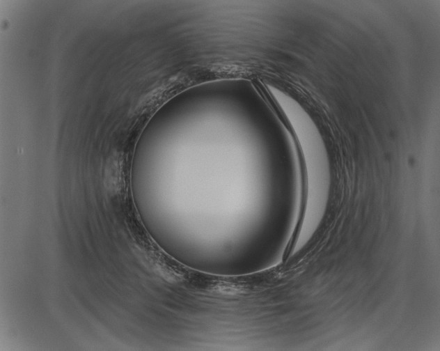 X0000086100416200704091357