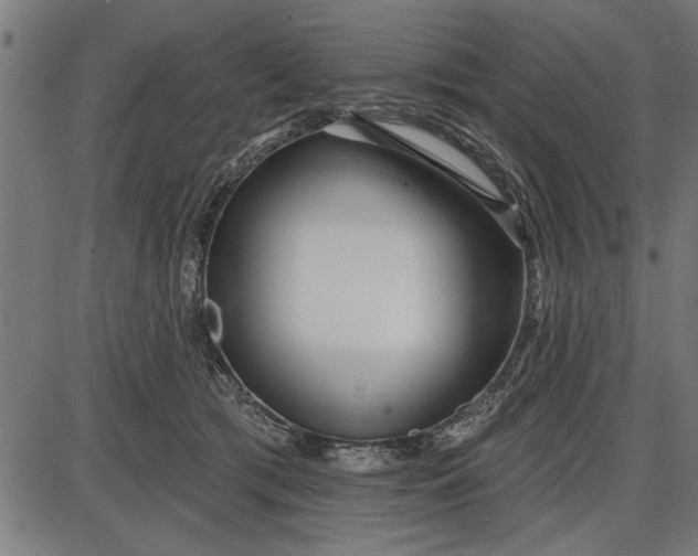 X0000086100417200704091357