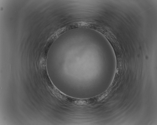 X0000086100419200704091357