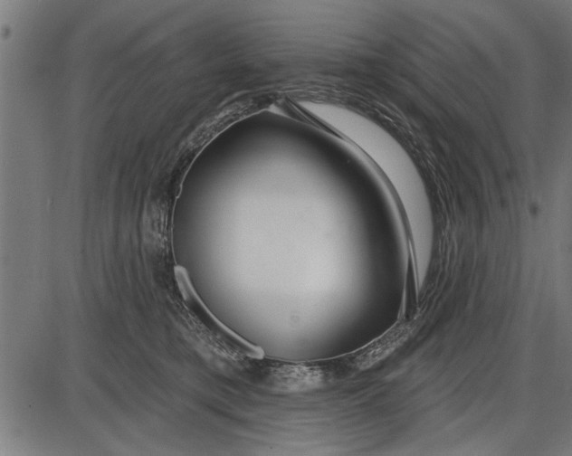 X0000086100421200704091357