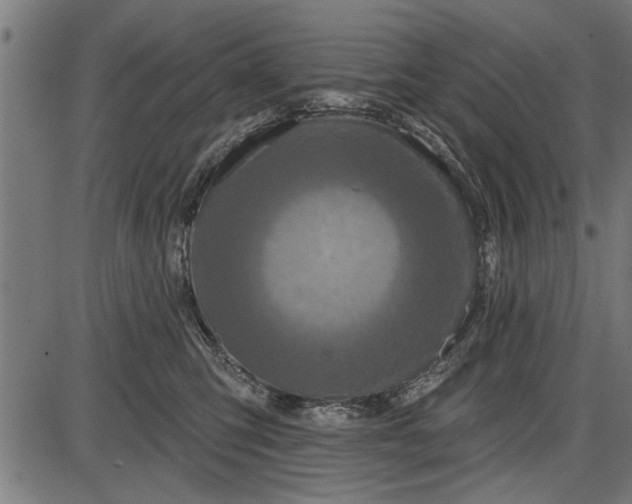 X0000086100423200704091357