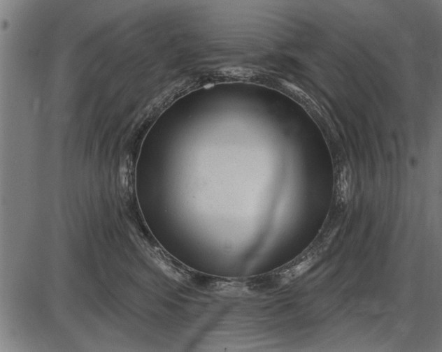 X0000086100424200704091357