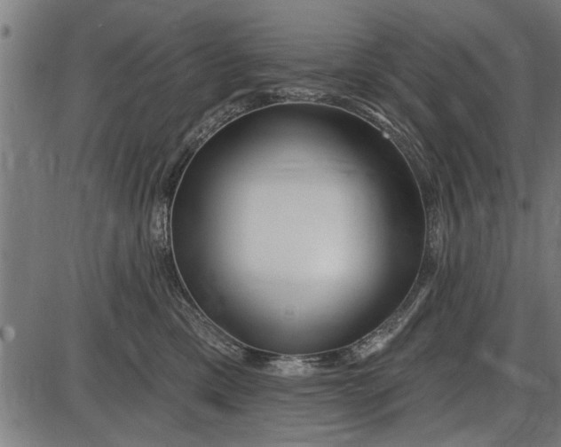 X0000086100425200704091357