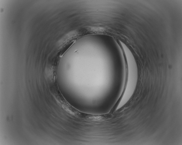 X0000086100428200704091357