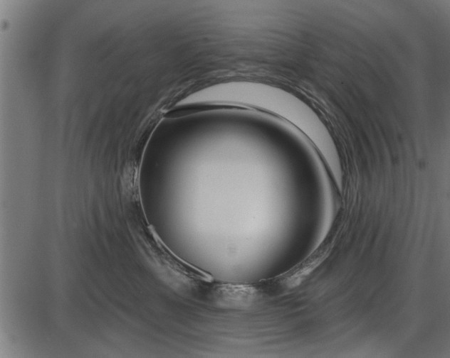 X0000086100429200704091357