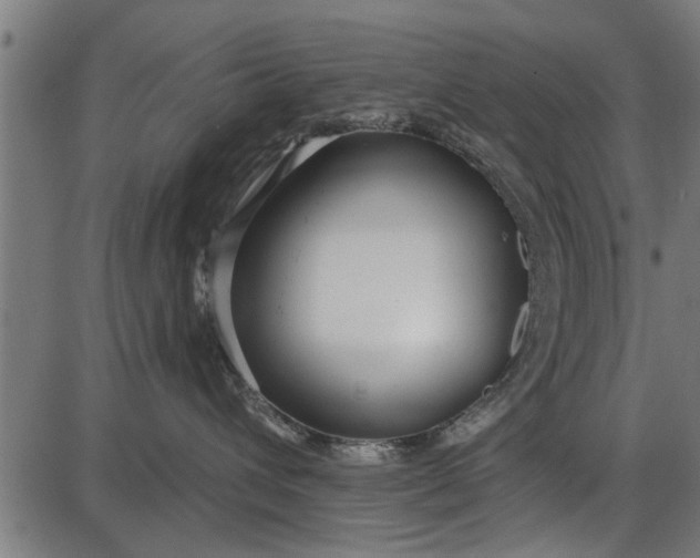 X0000086100432200704091357