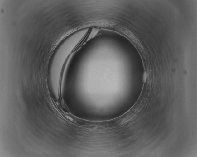 X0000086100434200704091356