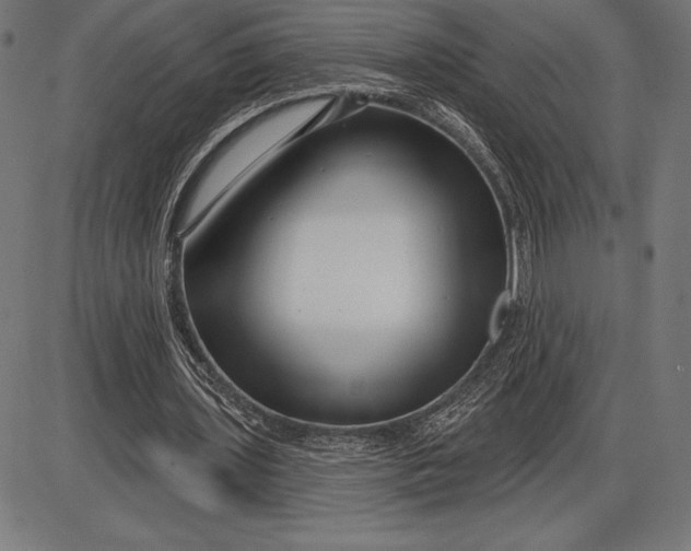 X0000086100435200704091356