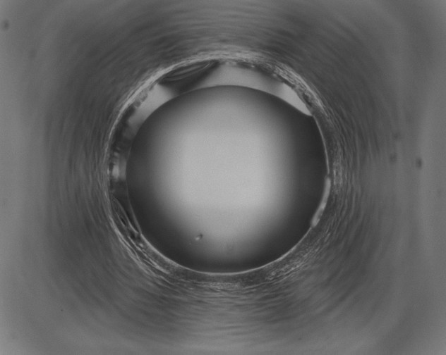 X0000086100436200704091356