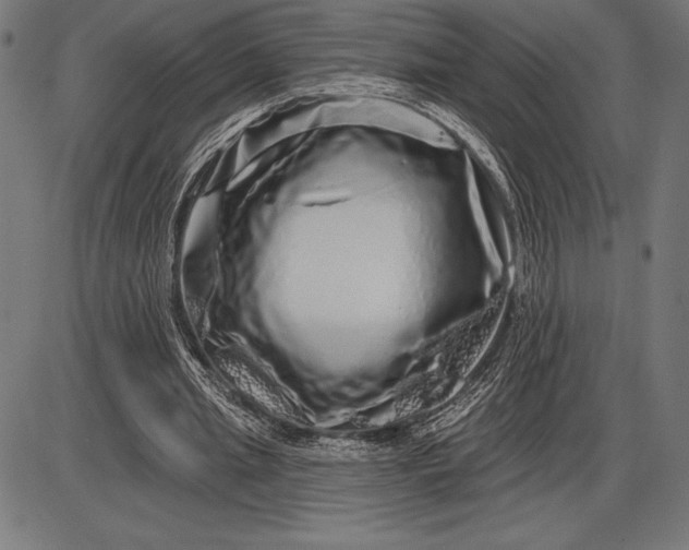 X0000086100437200704091356