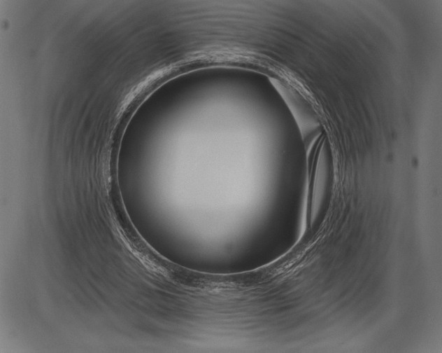 X0000086100438200704091356