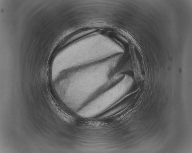 X0000086100439200704091356