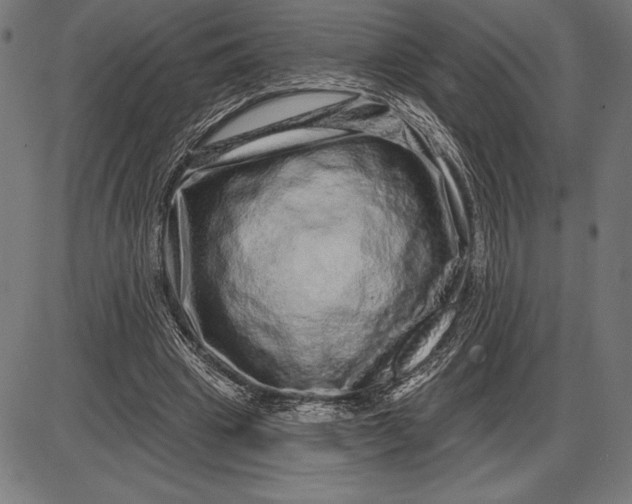 X0000086100441200704091356