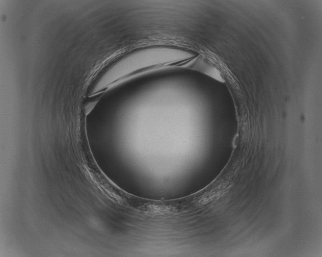 X0000086100442200704091356