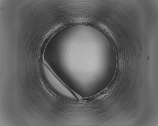 X0000086100443200704091356