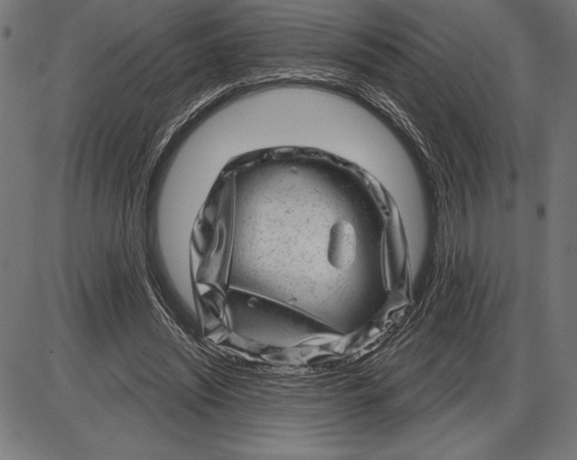 X0000086100444200704091356