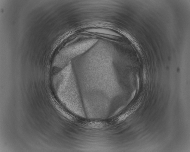 X0000086100445200704091356