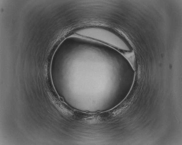 X0000086100447200704091356