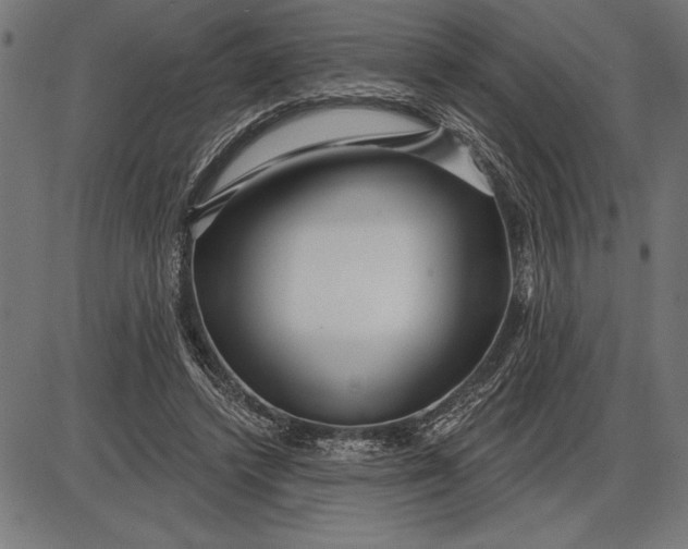 X0000086100448200704091356