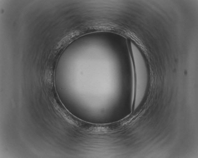 X0000086100449200704091356