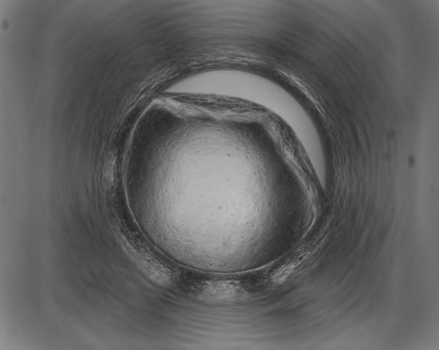 X0000086100451200704091356