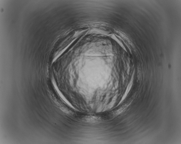 X0000086100453200704091356