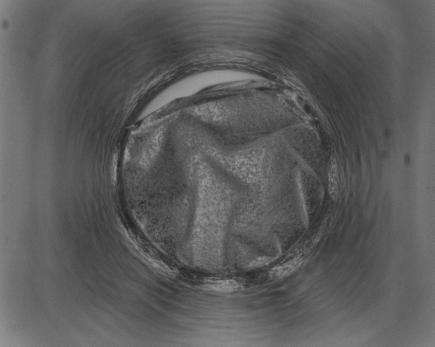 X0000086100454200704091356