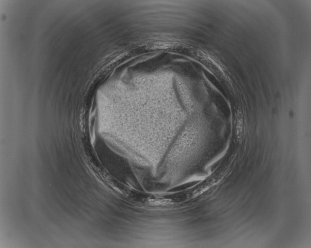 X0000086100455200704091357