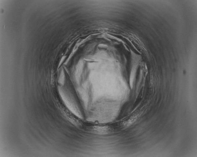 X0000086100457200704091357