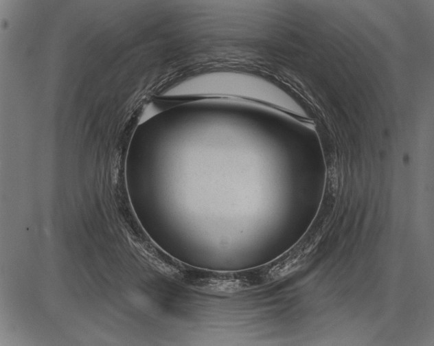 X0000086100458200704091357
