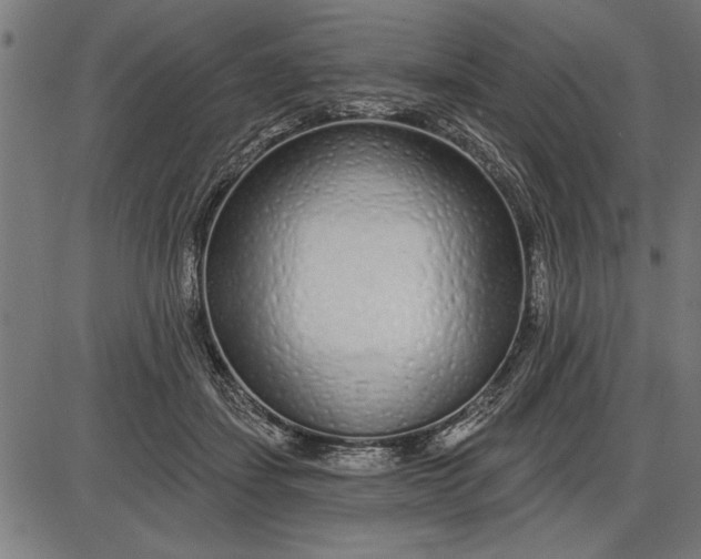 X0000086100459200704091357