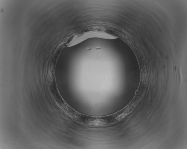 X0000086100460200704091357