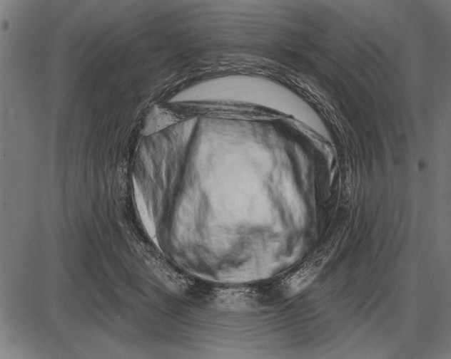 X0000086100461200704091357