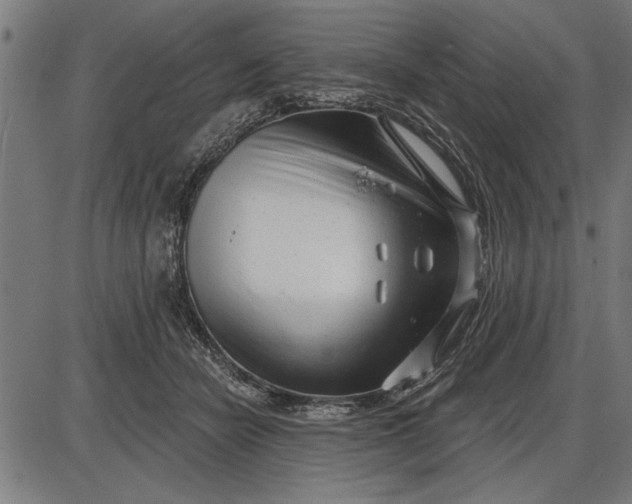 X0000086100462200704091357
