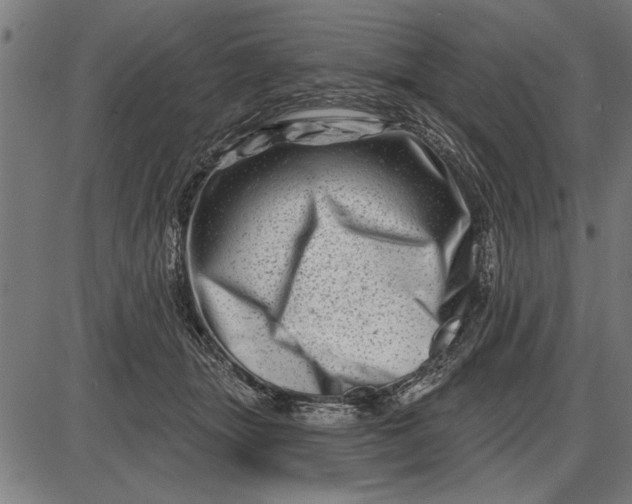 X0000086100463200704091357