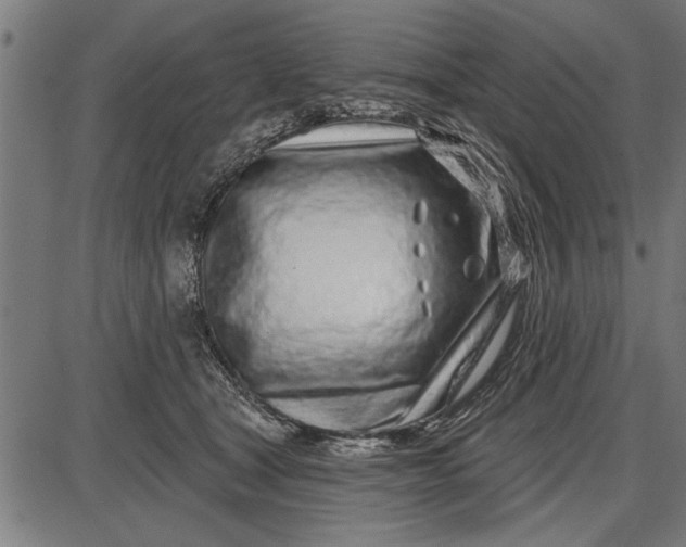 X0000086100465200704091357