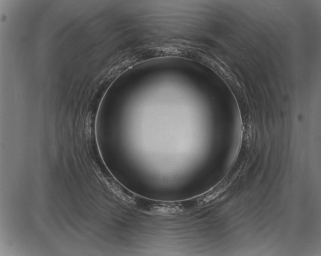 X0000086100466200704091357