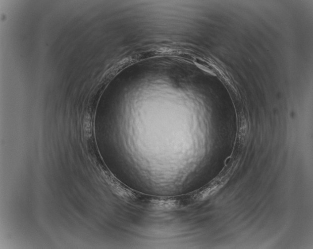 X0000086100469200704091357