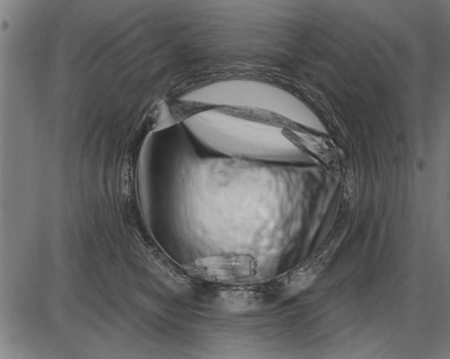 X0000086100470200704091357