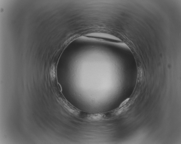 X0000086100479200704091357
