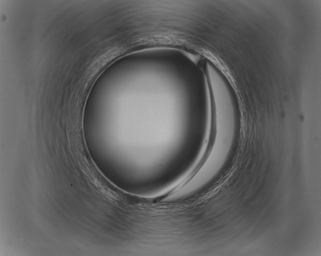 X0000086100481200704091356
