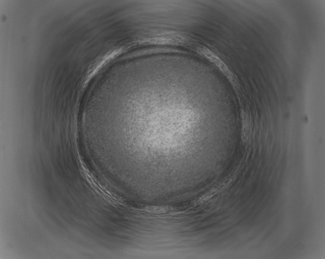 X0000086100482200704091356