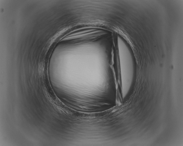 X0000086100483200704091356